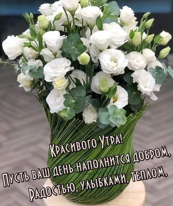   ,    . - 25  2020  23:30