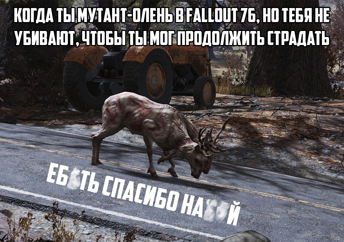 Fallout 76 учит не убивать всё подряд на своём пути | IGM | Фотострана |  Пост №2147516248