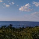 ,,  -,07.05.20 .8.00.    2020