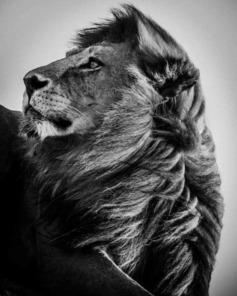  Laurent Baheux - 2