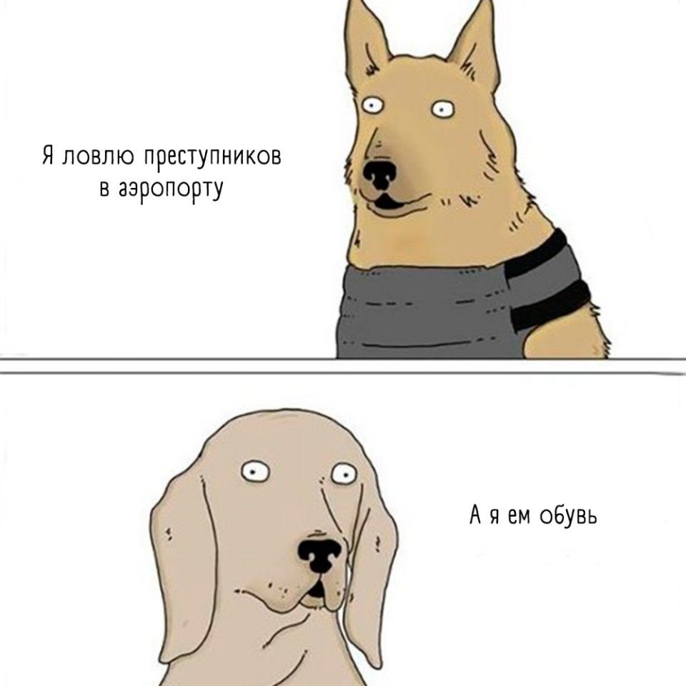   ,    ..     - 3