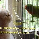���� ~����~, �����������-��-�����, 53 ���� - ��������� 14 ������ 2020 � ������ ������ ��������