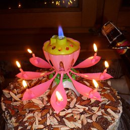 ���� �������, ����������, 105 ��� - ��������� 31 ������ 2020