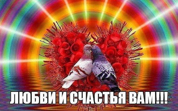   ,    . - 19  2020  21:54 - 5