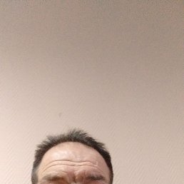 ������, �����-���������, 51 ���