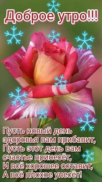   ,    . - 7  2020  23:31