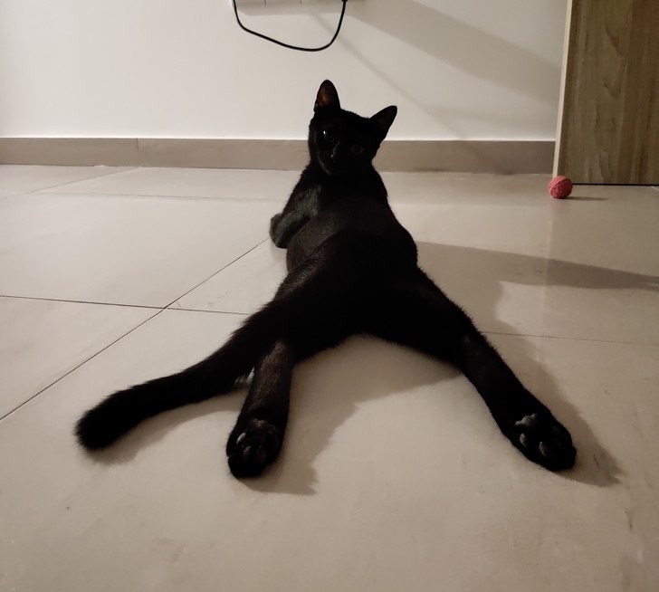  -  ))