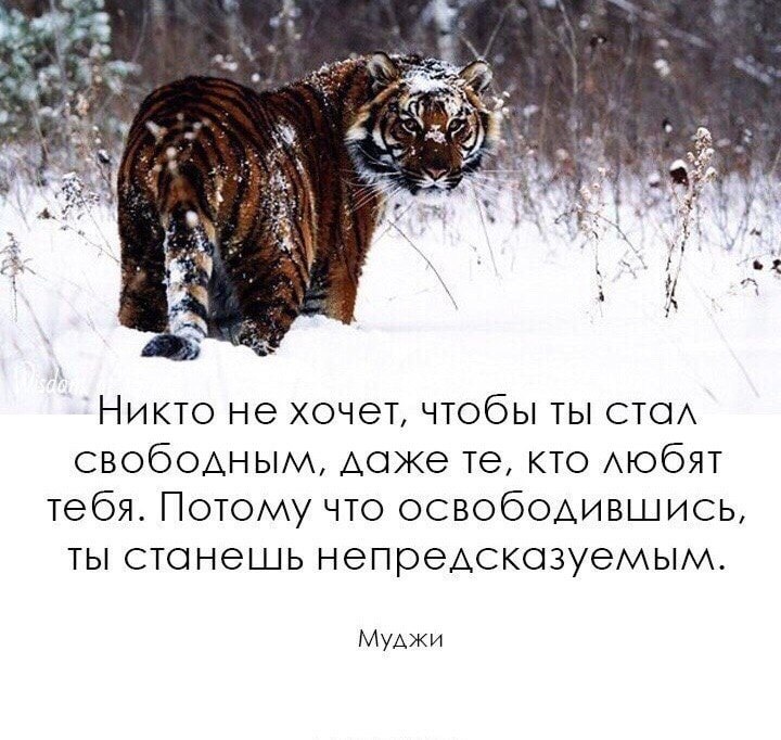    ,        .