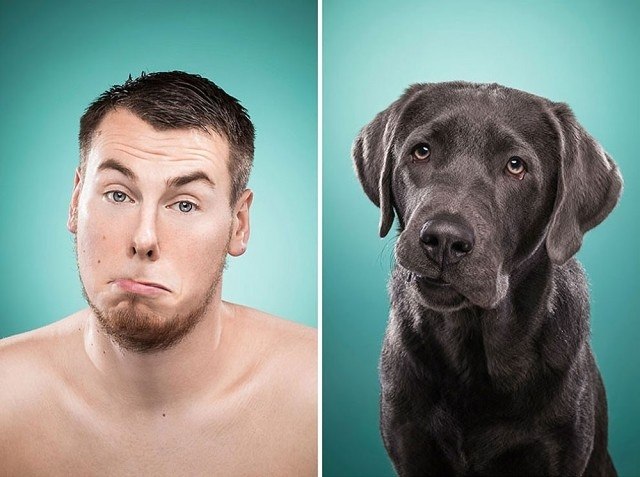 10     ,     .  The Dog People ... - 8