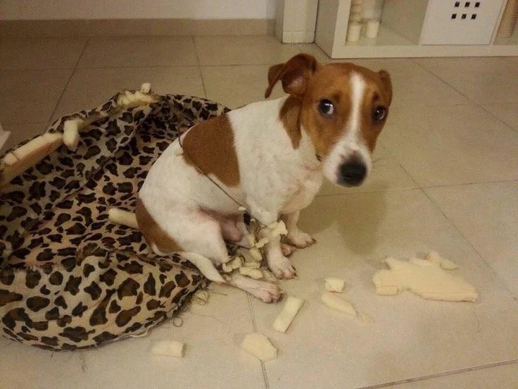 �� ��� ��� �y�� ����� �a�����a��? - 7
