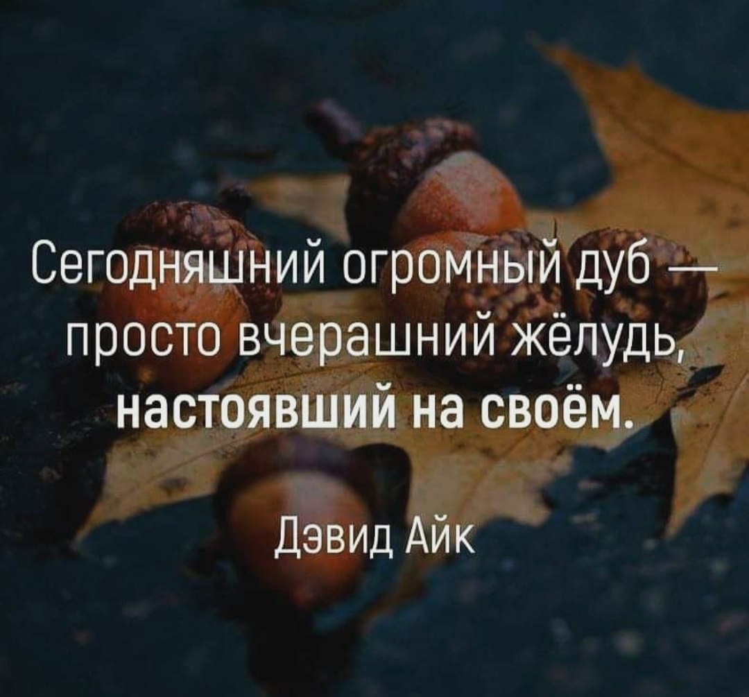     ,     ,   ,    ...