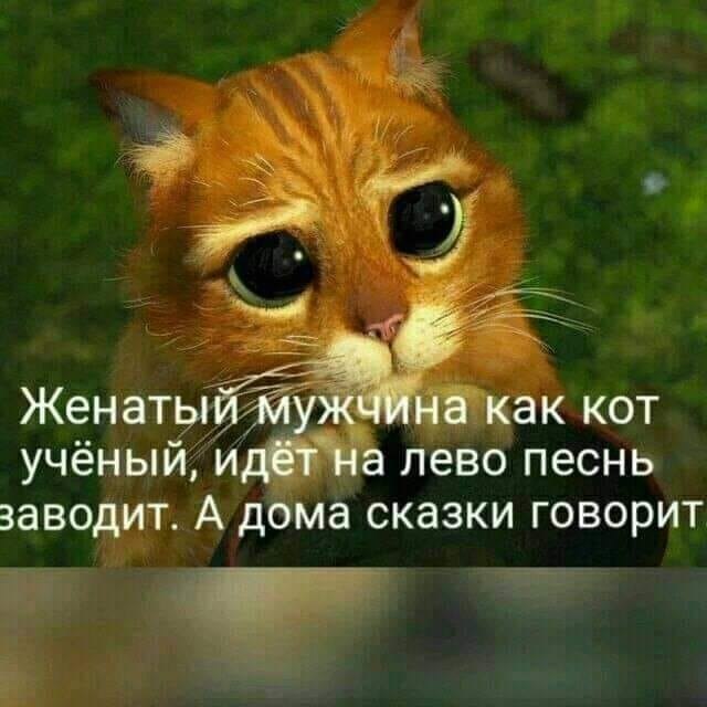  ,  ?  ,            ...