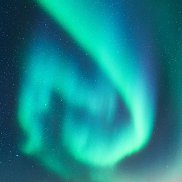 ������, 33 ����, �������