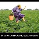 ���� ���, ������, 41 ��� - ��������� 20 ��� 2020 � ������ ���� ����������