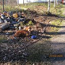 ���� ��������, Kouvola, 78 ��� - ��������� 22 ����� 2020 � ������ ������ � ������ ������...�