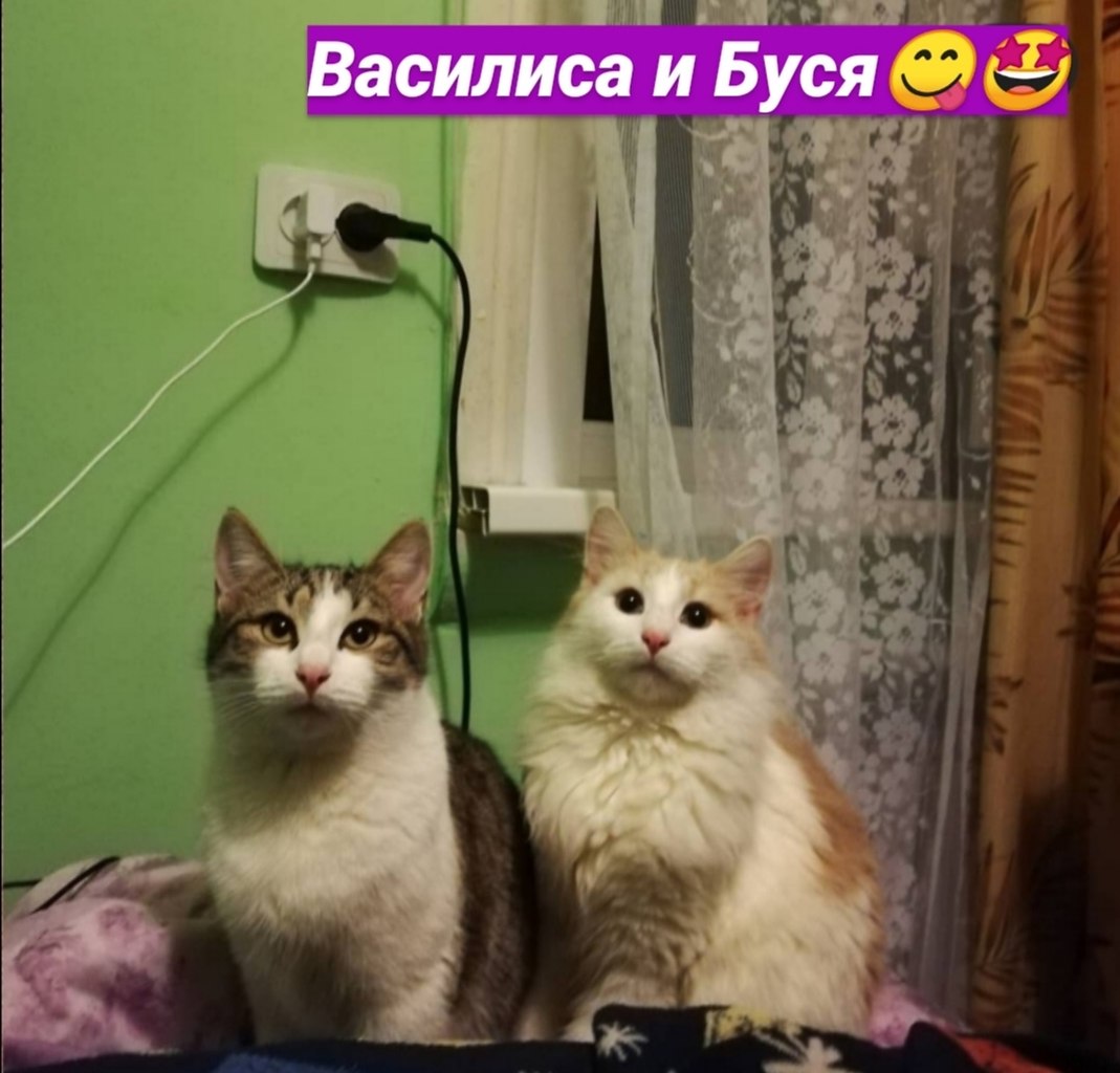     . * ,    3 * 2018 ,  3   ... - 5