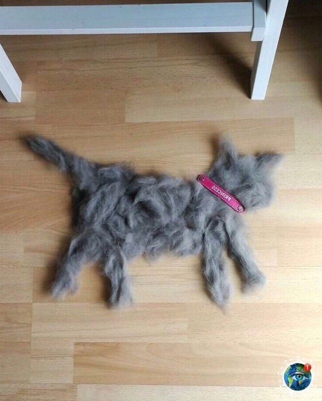 oa pepo ecae oe.# - 3