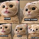  , -, 45  -  28  2020    