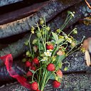 ���� Severnaya, ������ �������� - ��������� 13 ���� 2020 � ������ ������ ��������