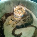 ���� ����, �������, 64 ���� - ��������� 7 ��� 2020 � ������ ���� ����������