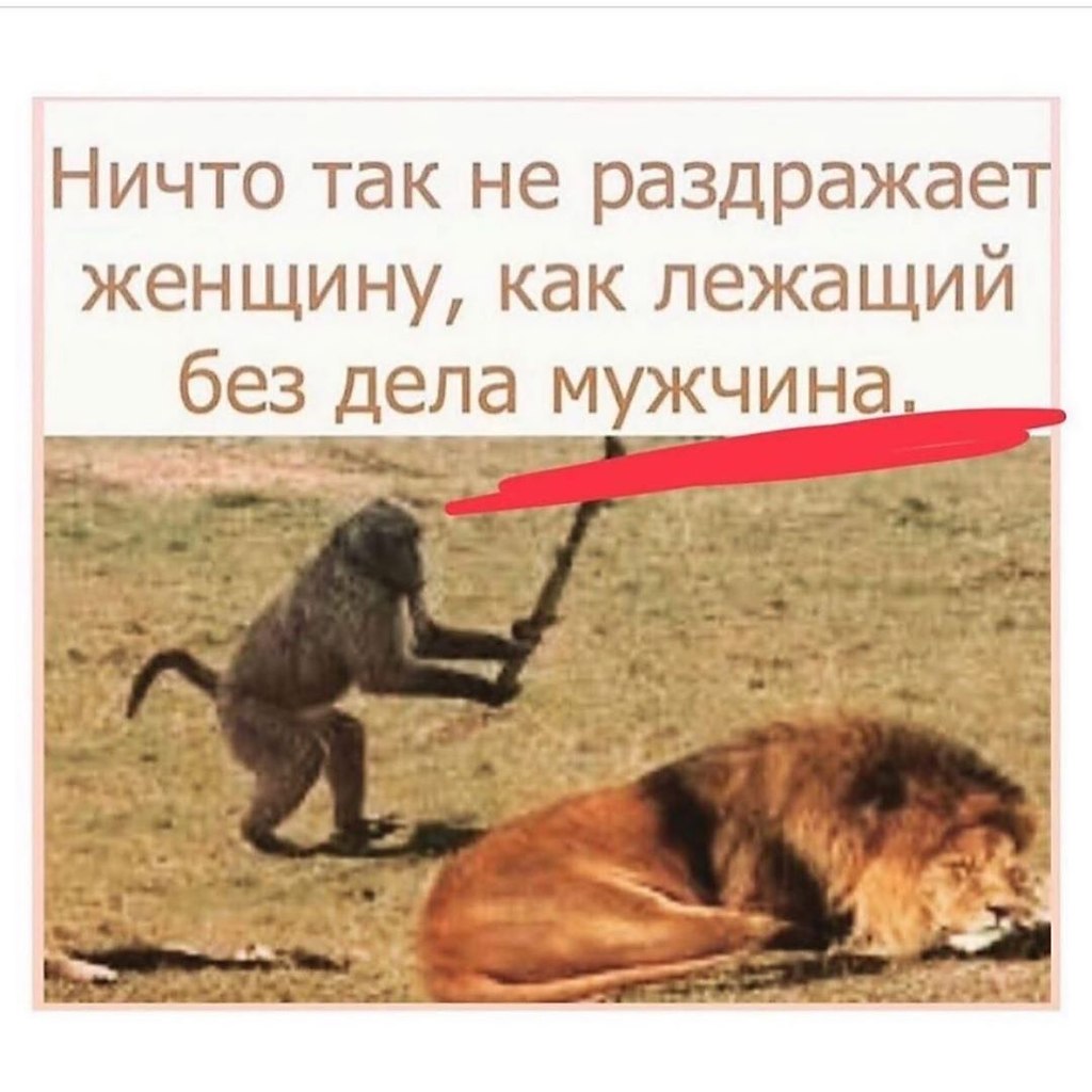   - 21  2020  18:41