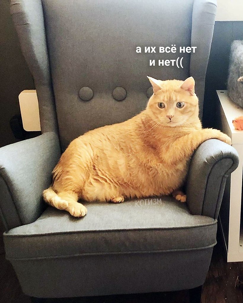 ,     ,   . . : ... - 2