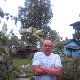 ������, ��������, 44 ����