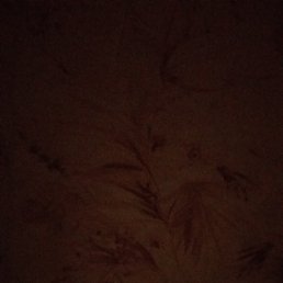 �����, ������, 45 ���