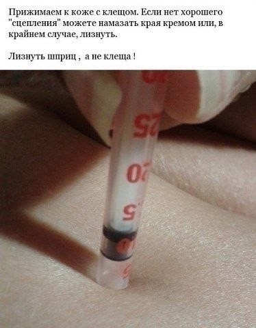   . - 5