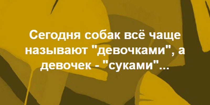  - 11  2020  20:51