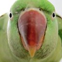 ���� ����, ����������, 48 ��� - ��������� 8 ��� 2020 � ������ ���� ����������