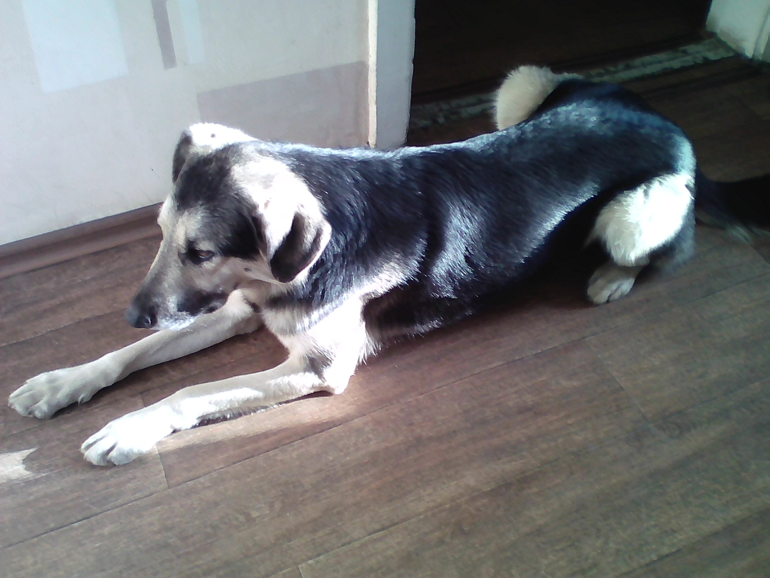 Olga - 29 ������ 2020 � 13:57 - 6