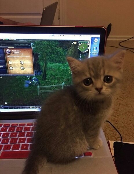    )