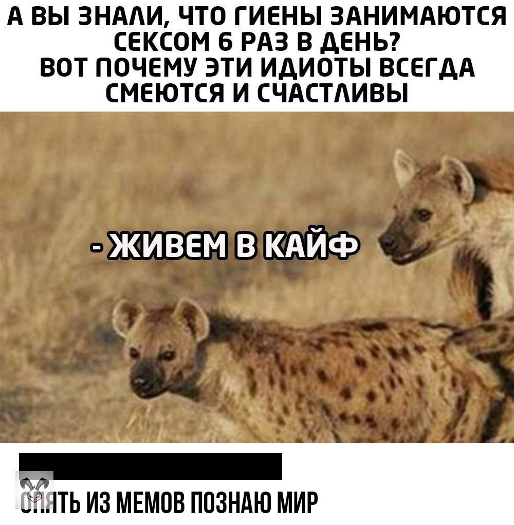  - 11  2020  08:26