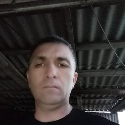 , 50 , 