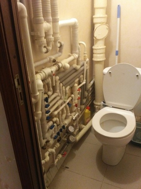     ))
