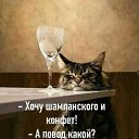 ���� ����, �����-���������, 47 ��� - ��������� 28 ����� 2020 � ������ �������� ��� ���...�