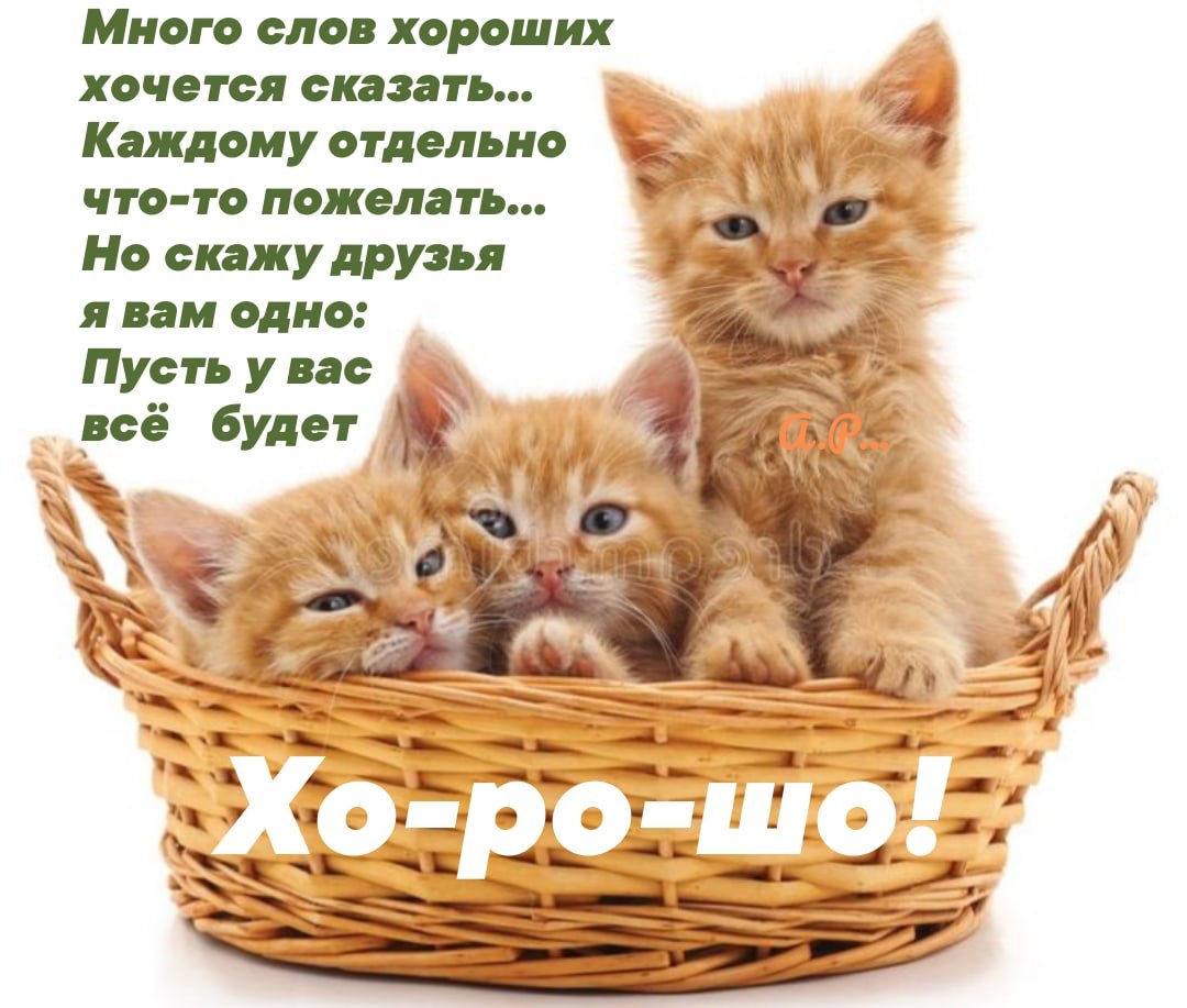  - 12  2020  08:05