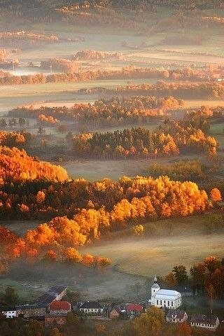 a e