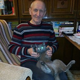 ��������, �����, 74 ����