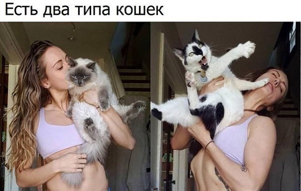    - 23  2020  19:06