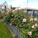 ���� ������, ������ - ��������� 30 ���� 2020 � ������ ����� � ����� �� ����