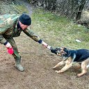 ���� ��������, �����, 61 ��� - ��������� 1 ����� 2020 � ������ ���� ����������