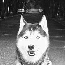  Anika, -- -  16  2020    