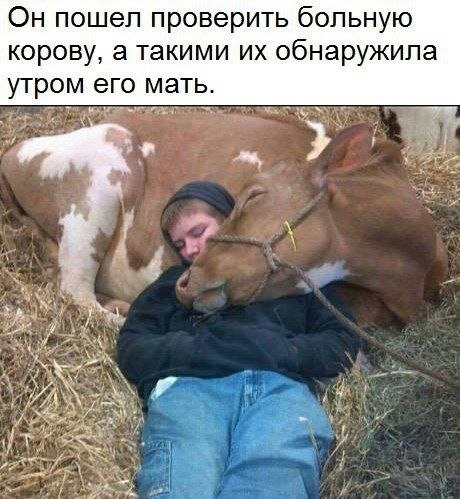 ������� - 8 ������� 2020 � 18:52