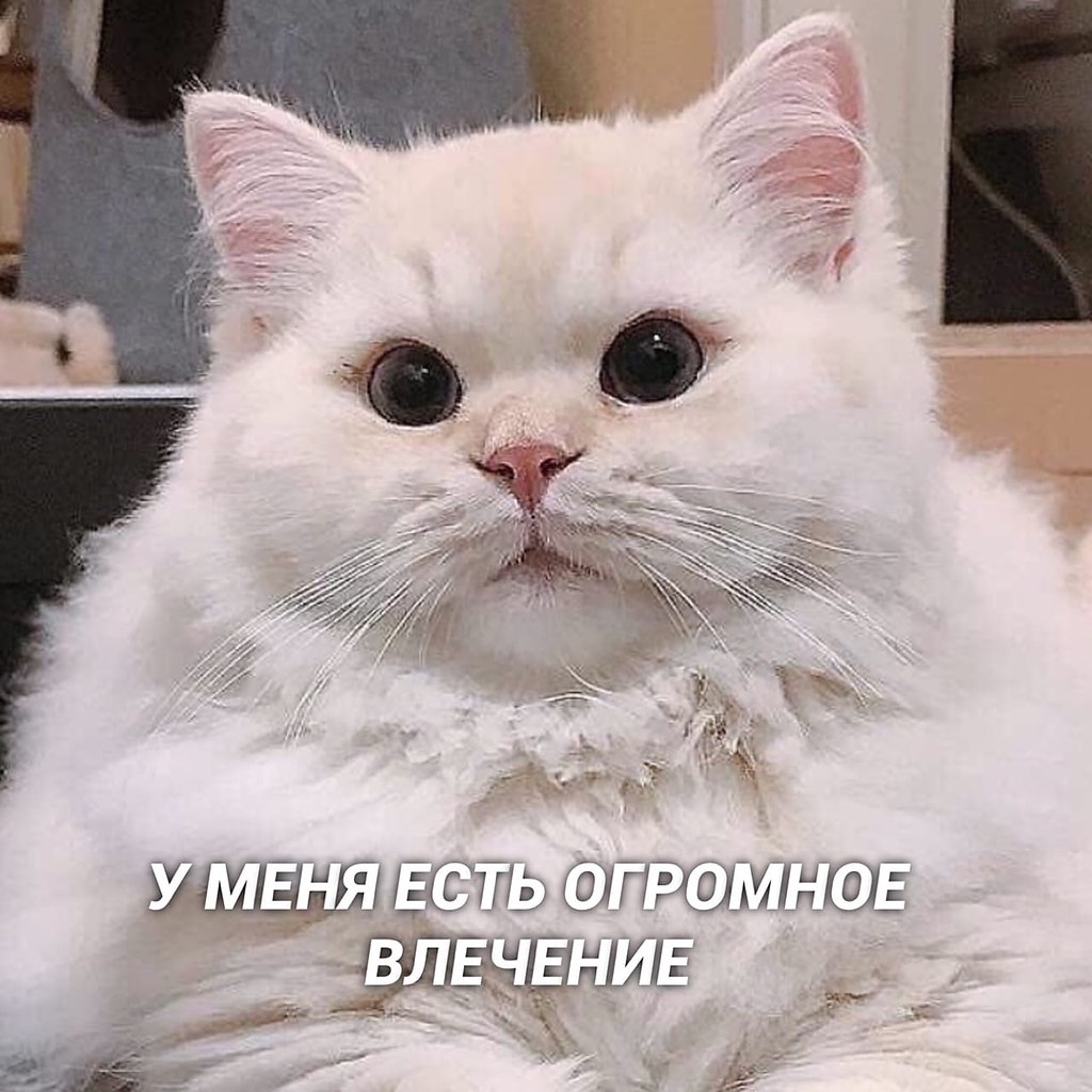         - 4