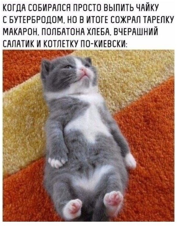   .  ?