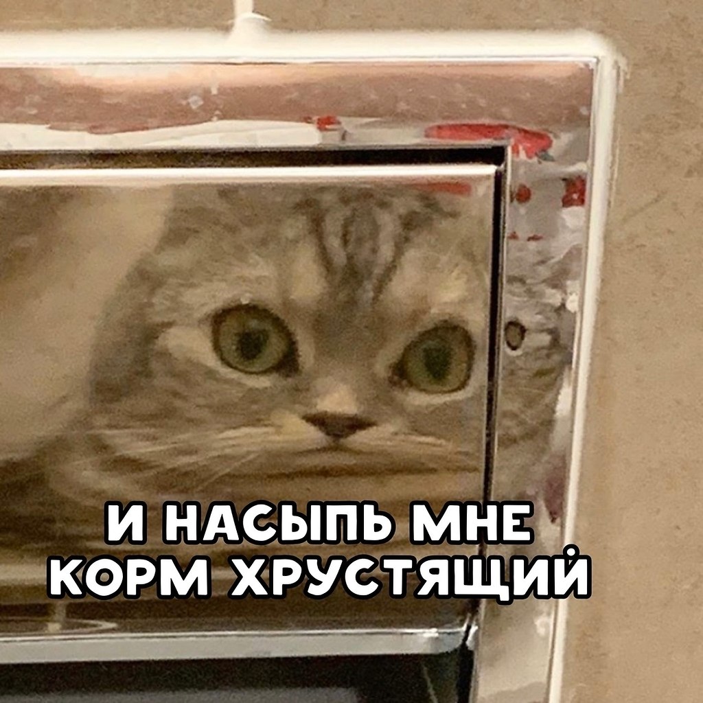  ,   ))) ) - 4