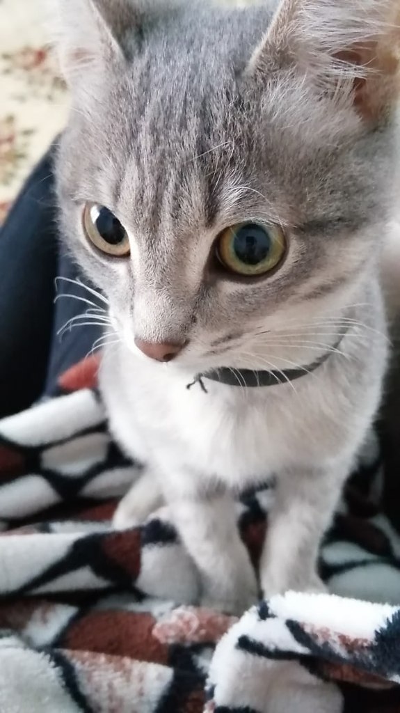 #_.  2019    ,     .   ... - 3