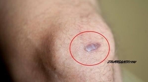 o , o        o  o o. - 2